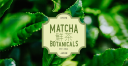Logo Matcha Botanicals